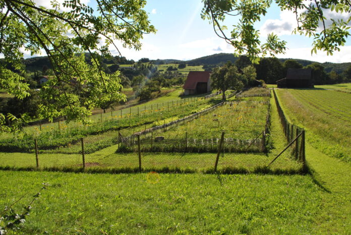 Snail Garden in South Germany