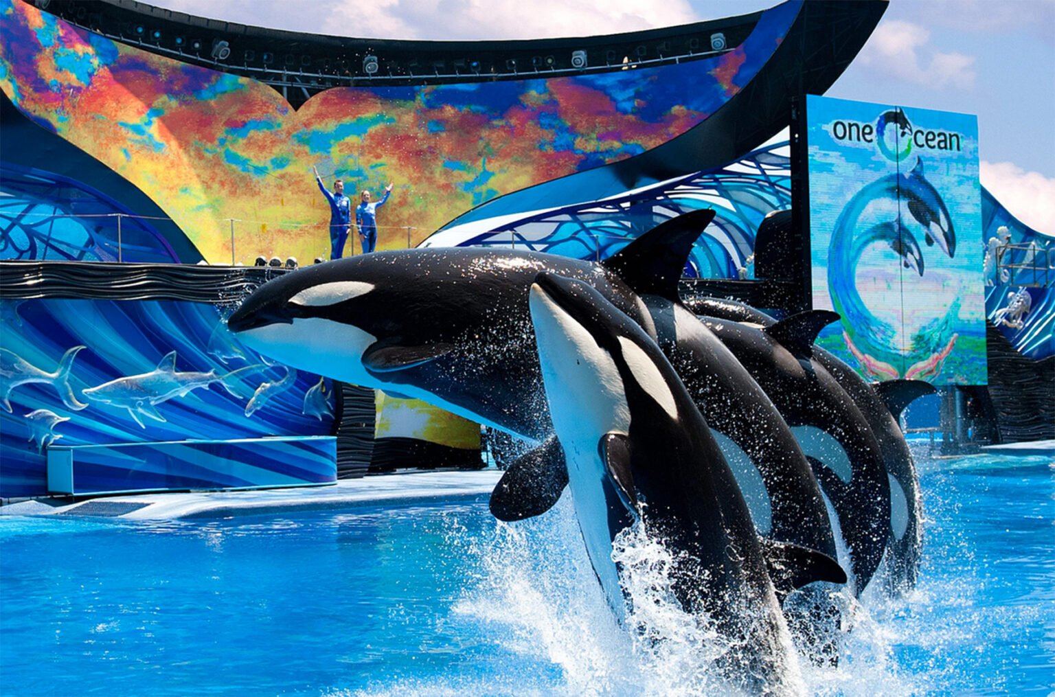 SeaWorld is offering FREE admission for U. S. military veterans and