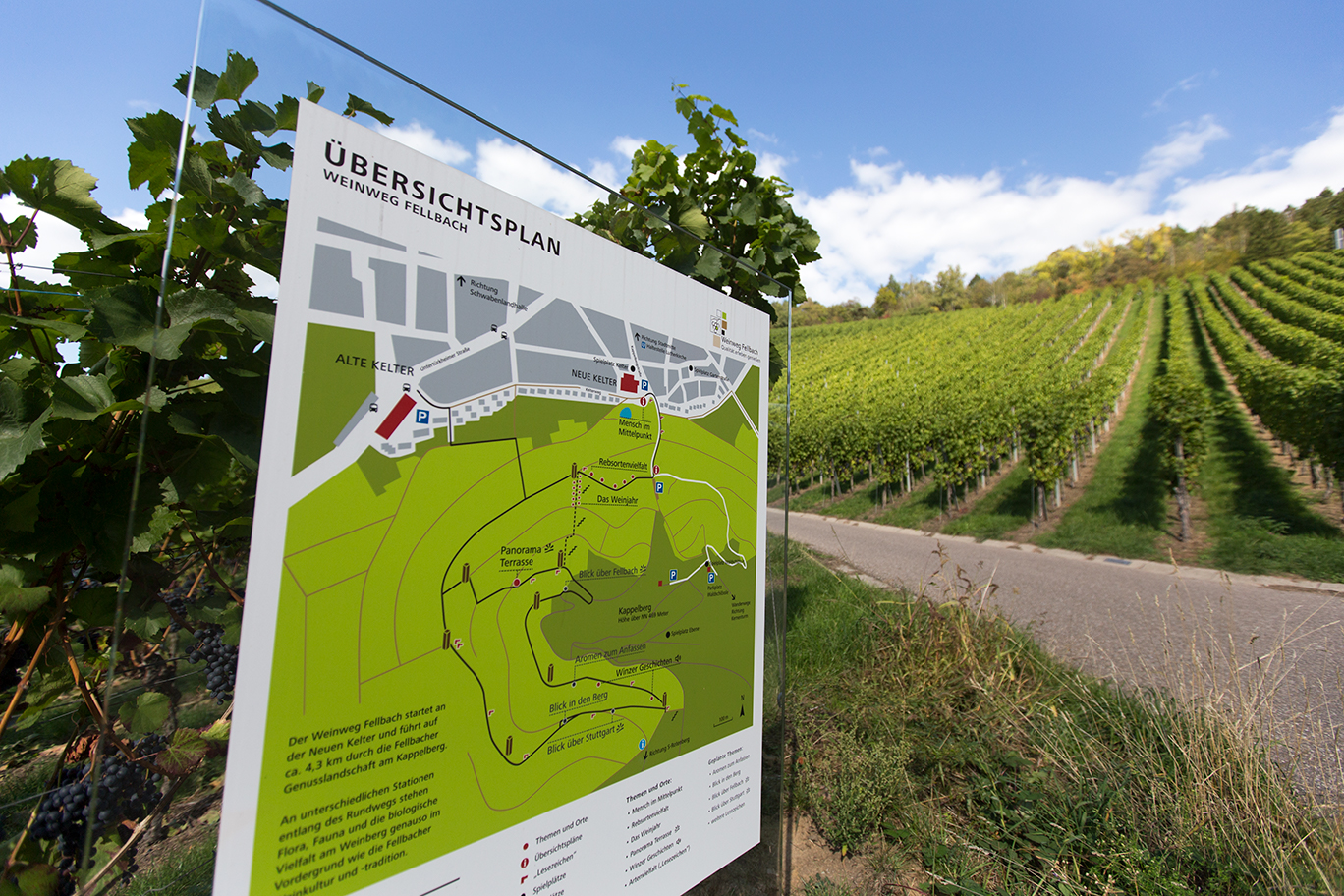 Württemberg Wine Trail