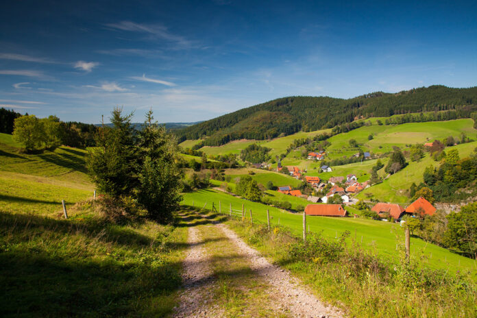 SNAP TASTE | Culinary Expeditions Guide in Southwest Germany