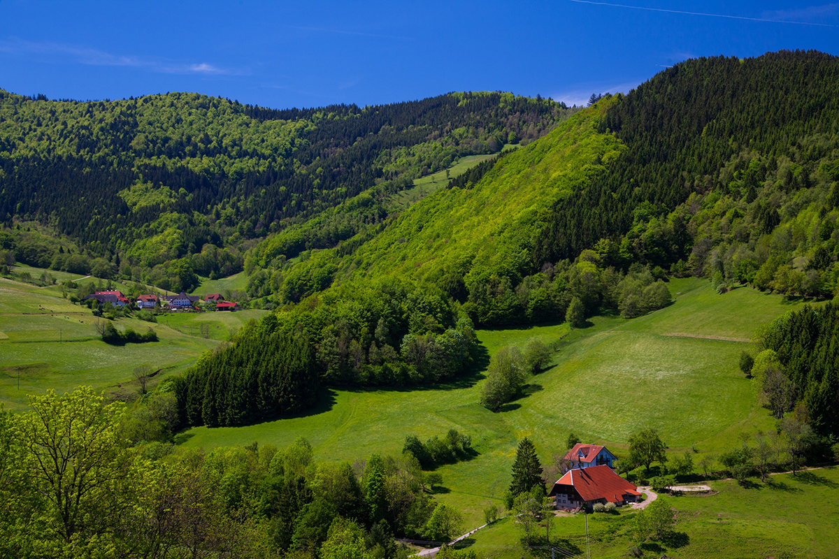 Yach Bread Trail