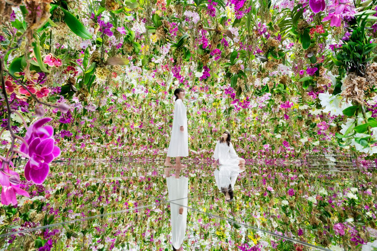 Floating Flower Garden from teamLab Planets TOKYO