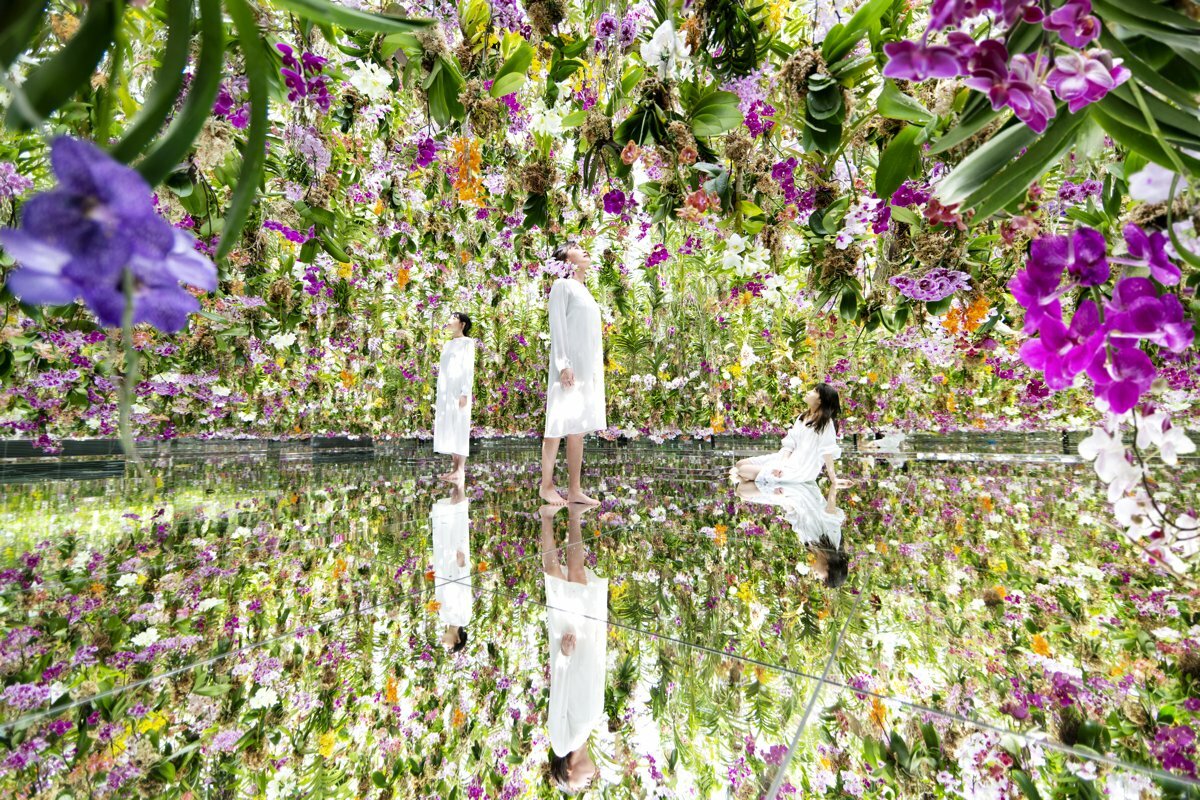 Floating Flower Garden from teamLab Planets TOKYO