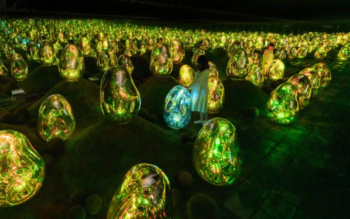 SNAP TASTE | New Immersive Gardens from teamLab Planets in Tokyo