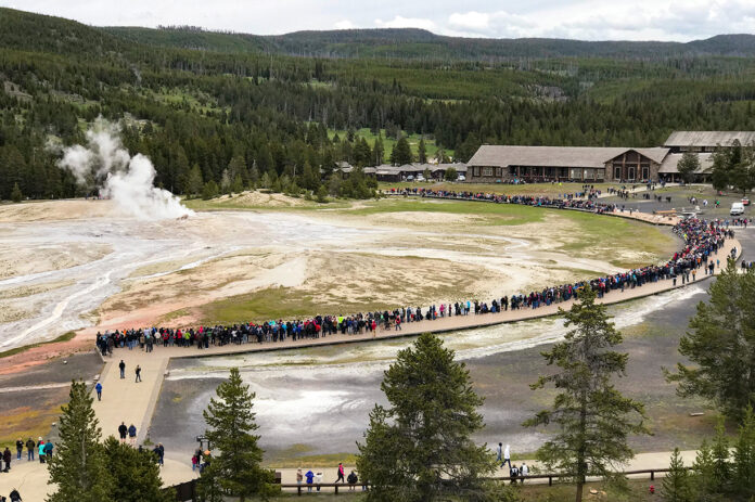 Crowds gather for an Old Faithful Eruption