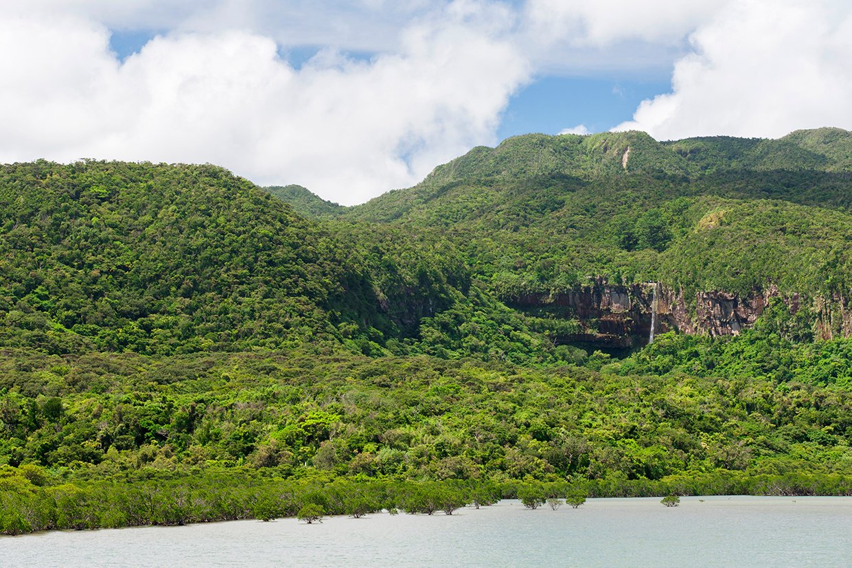 View from Funaura Bay (Iriomote island)