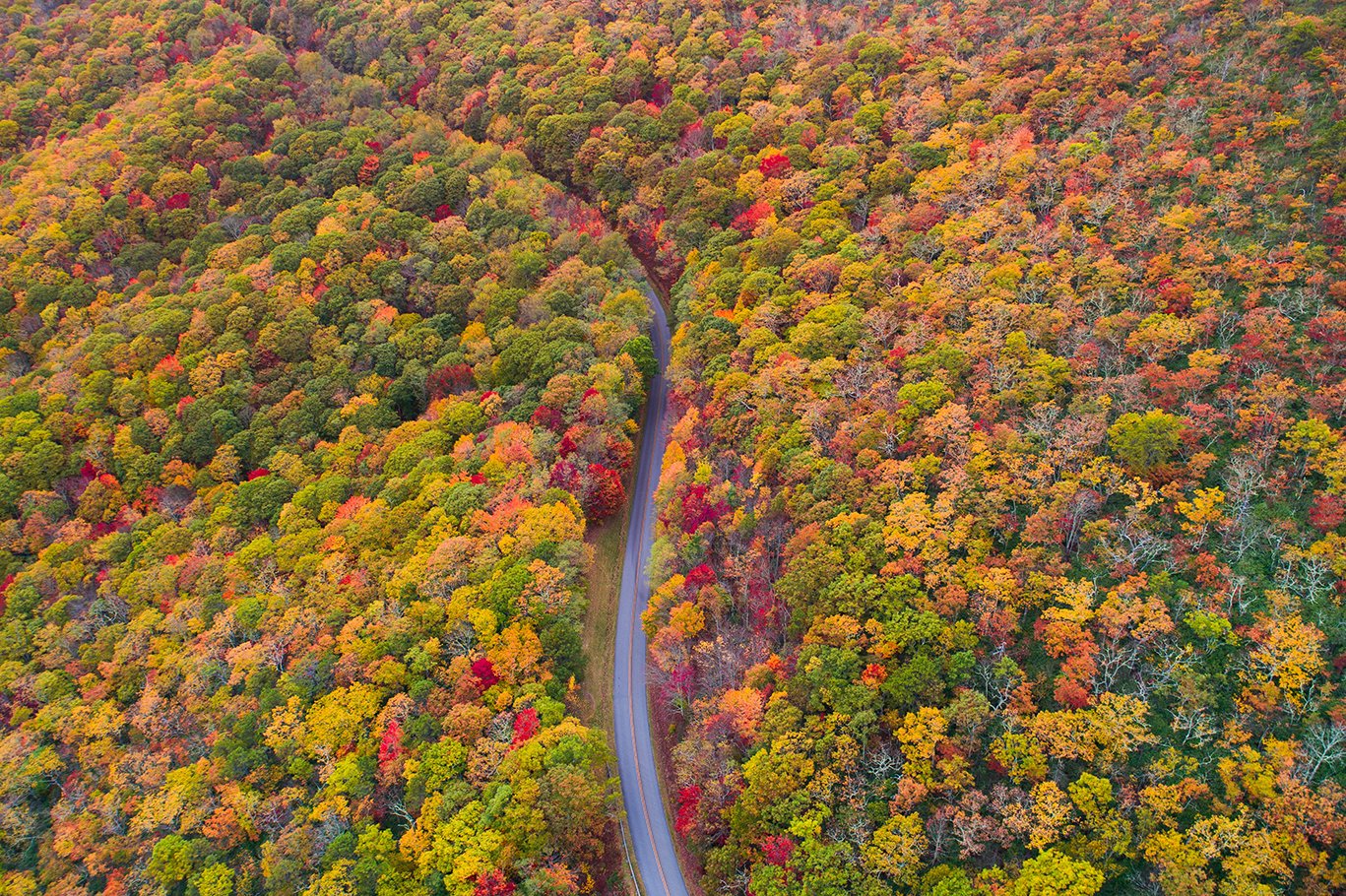 Blue Ridge Parkway – Asheville, North Carolina