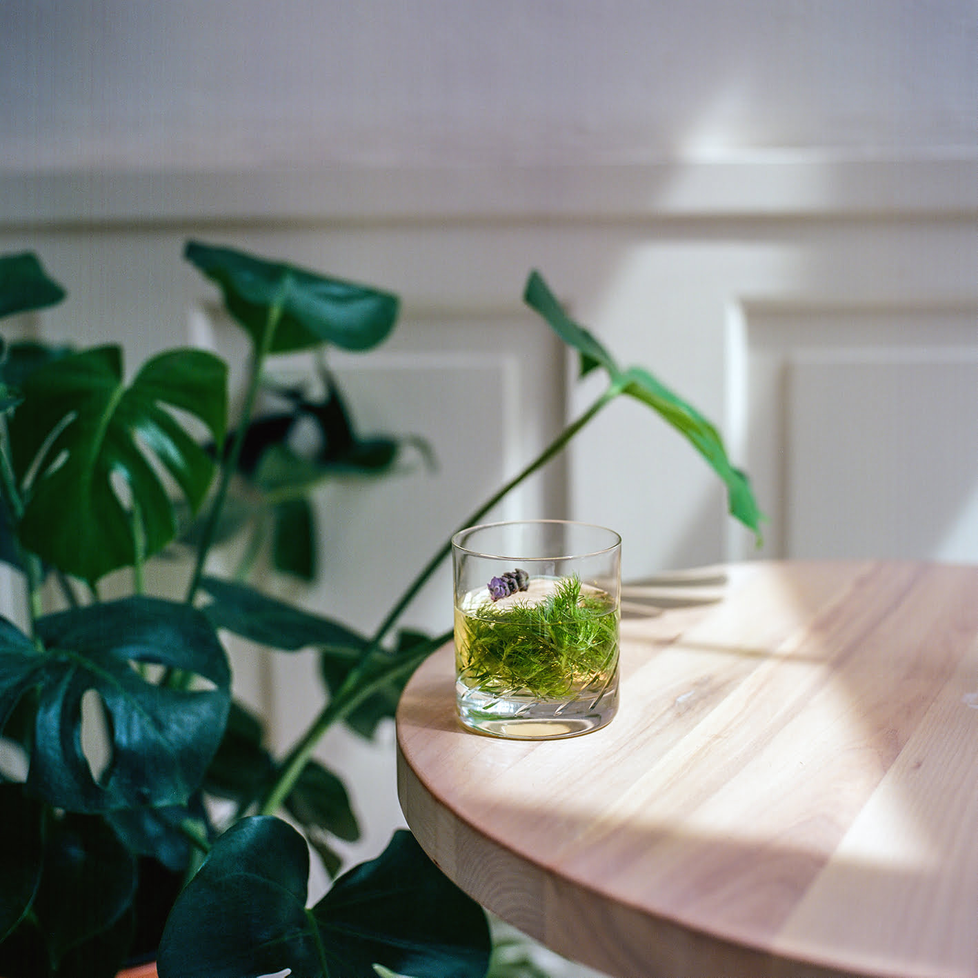 ST~GERMAIN Elderflower Liqueur - DIY Bouquet Spritz