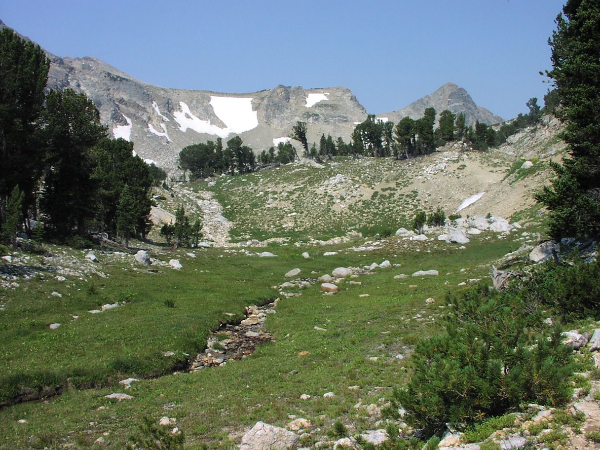 Grand Teton National Park - Paintbrush Canyon meadow and creek along the trail