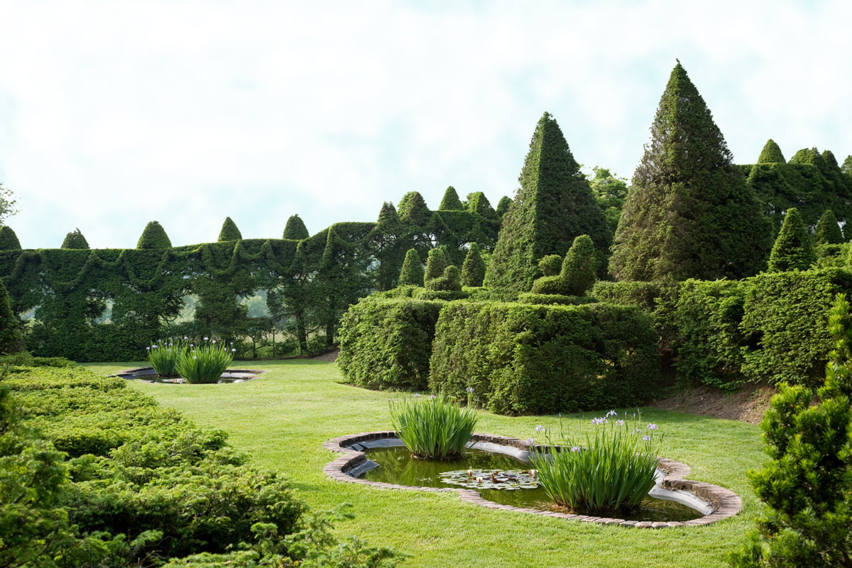 Ladew Topiary Gardens in Maryland - Iris garden topiary