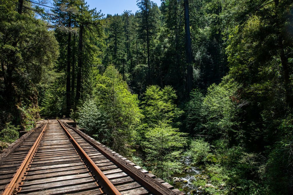 ‘Railbikes on the Noyo’ experience from Skunk Train in California