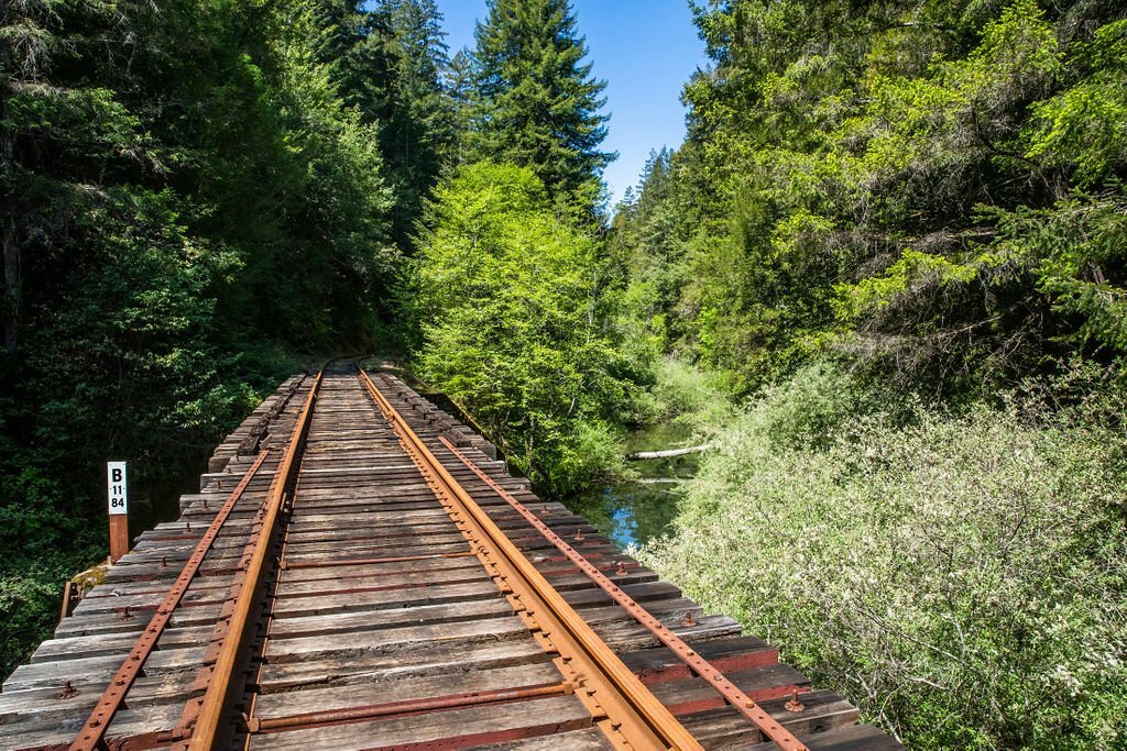 ‘Railbikes on the Noyo’ experience from Skunk Train in California