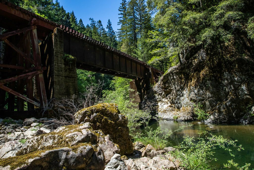 ‘Railbikes on the Noyo’ experience from Skunk Train in California