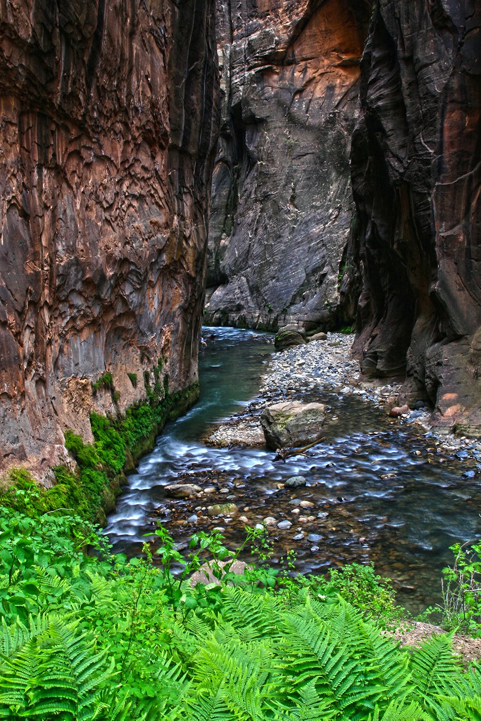 The Narrows - Zion National Park