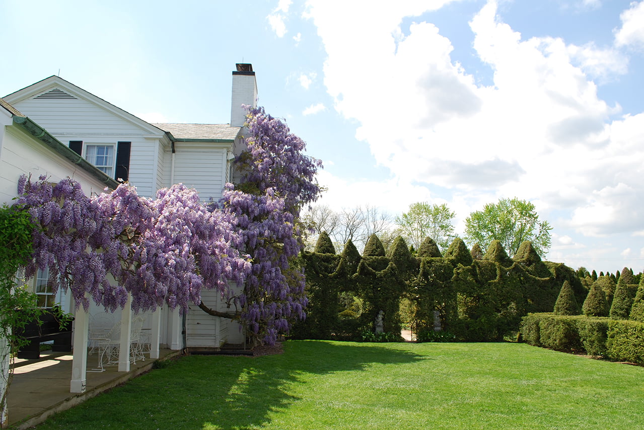 Ladew Topiary Gardens in Maryland - The Portico