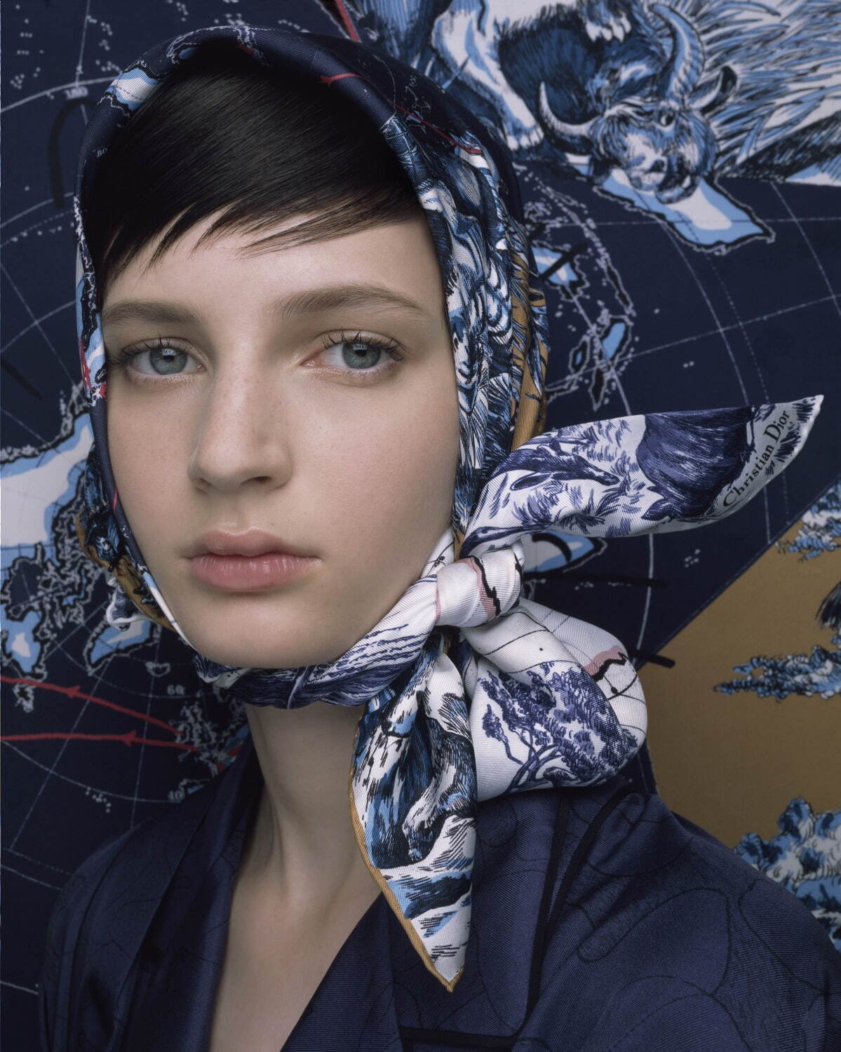 Dior's Fall-Winter 2021-2022 Silk Scarf collection