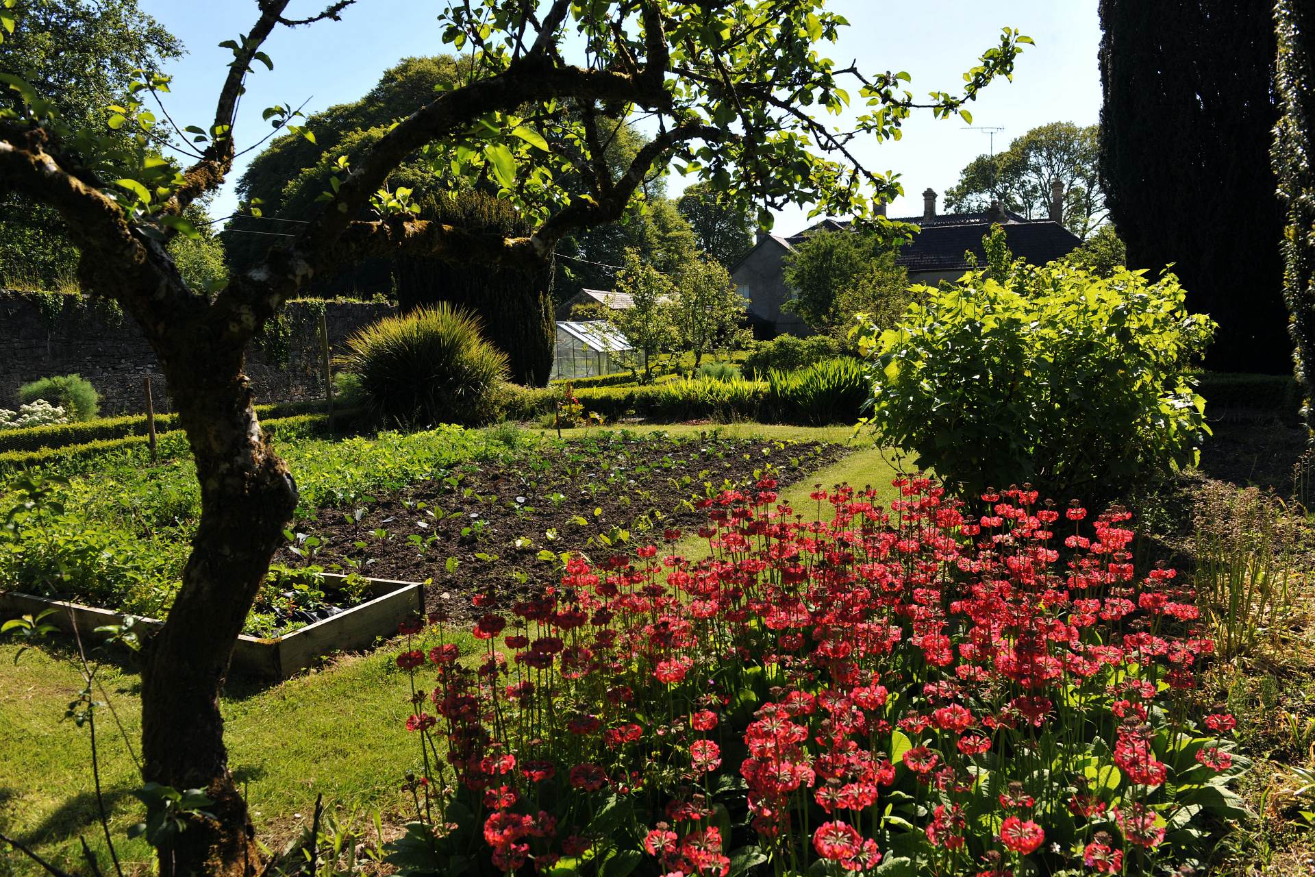 Mornington garden from Hidden Ireland