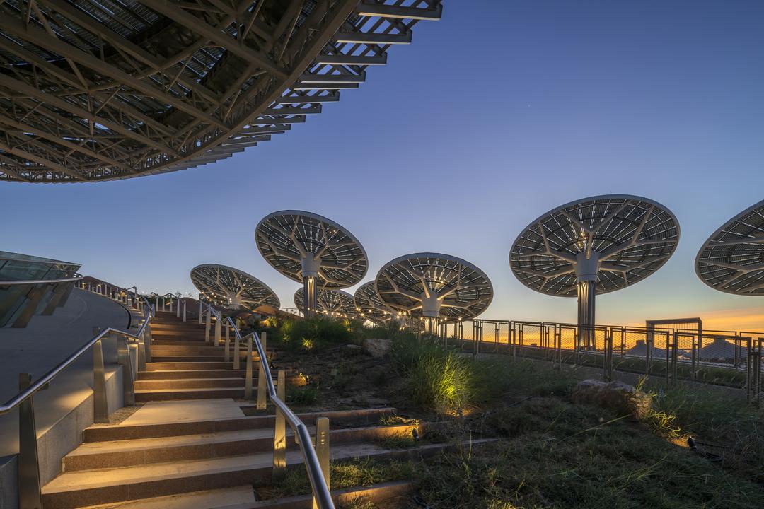 General view of Energy Trees outside Terra - The Sustainability Pavilion, Expo 2020 Dubai. 