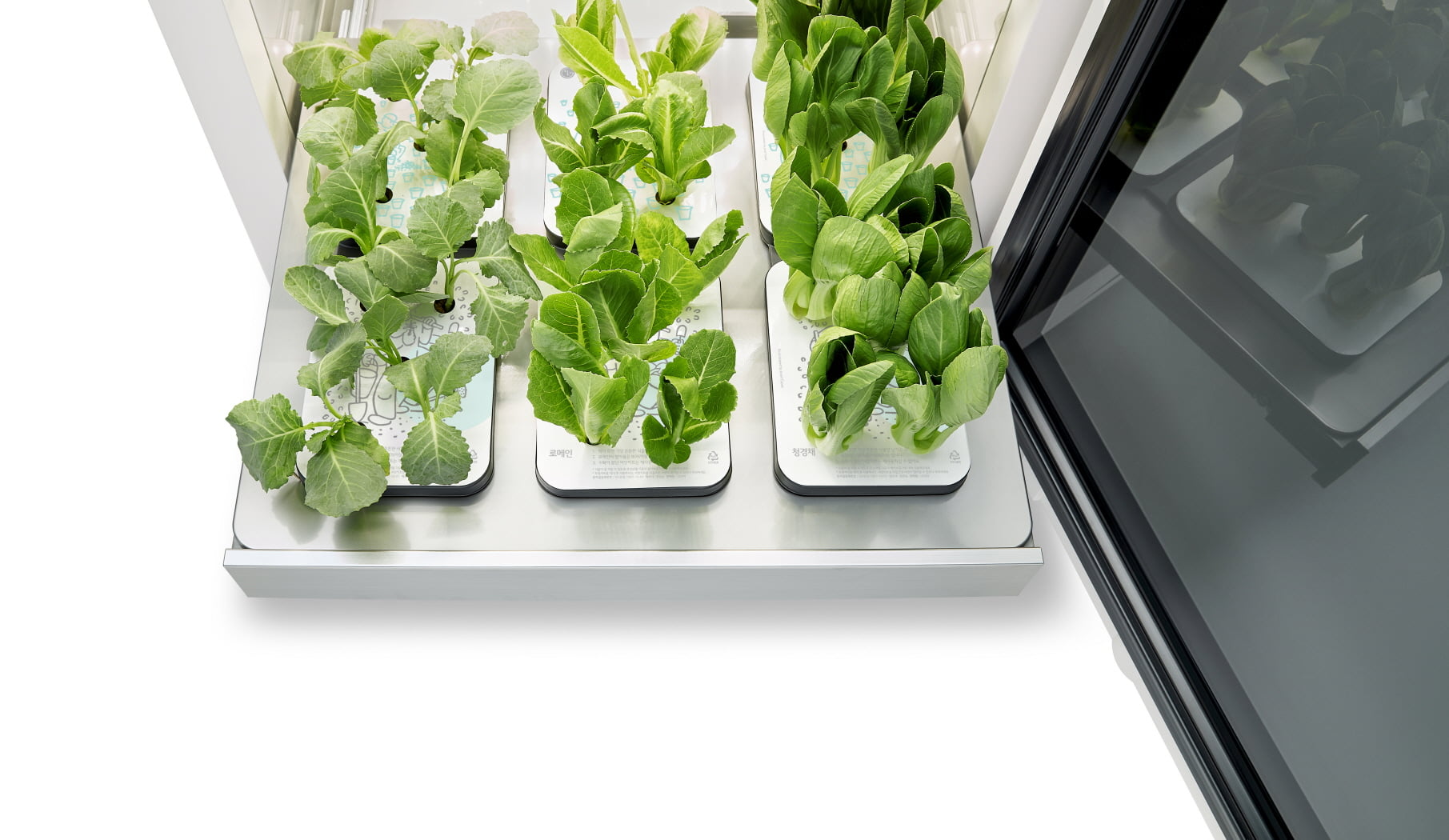 LG Tiiun, a modern freestanding indoor gardening appliance