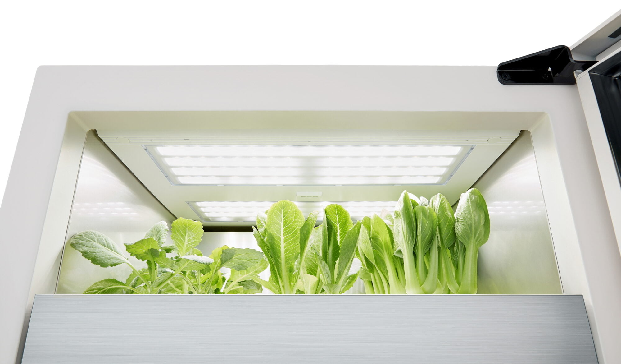 LG Tiiun, a modern freestanding indoor gardening appliance