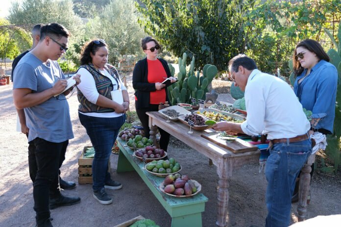 Bravo’s “Top Chef” Season 19 Finale - Tucson, Arizona