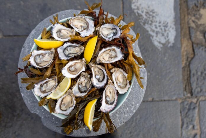 Oyster tasting, Co Clare