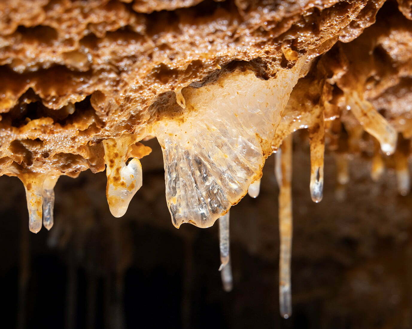 Helictite formation almost completely transparent. Wild Cave.