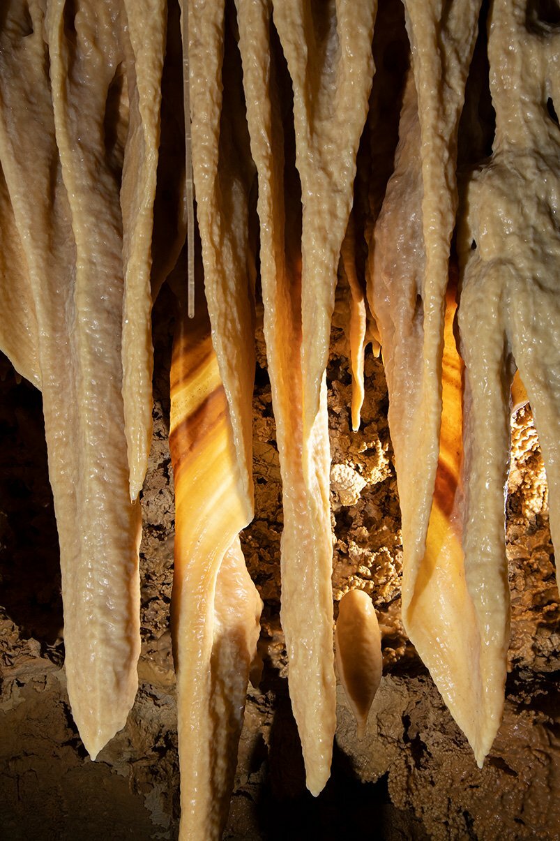 Cave Curtains decorates the wall of a passage in the Wild Cave