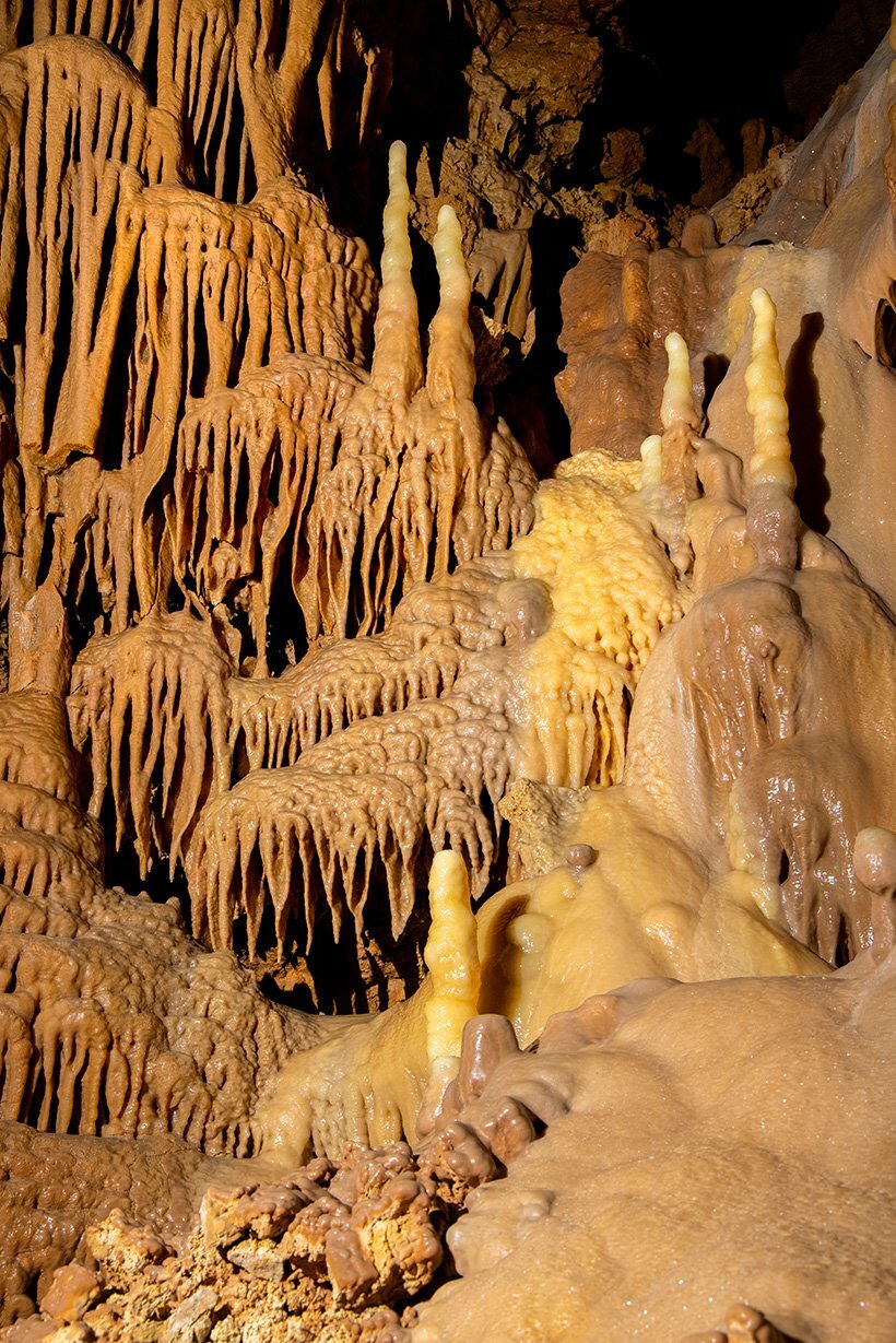 Flowstone and stalagmites adorn a cave wall in Wild Cave.