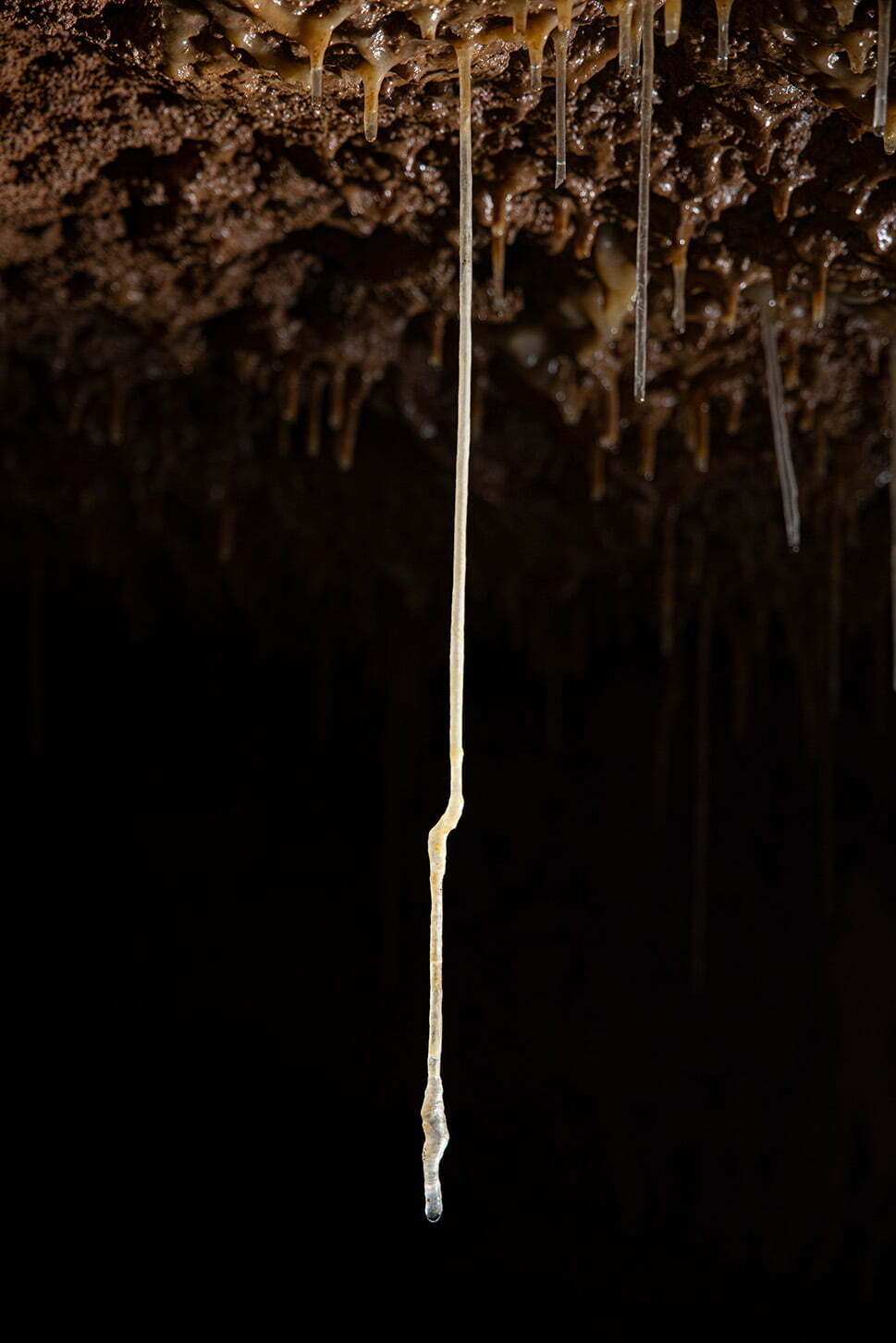 Soda straw stalactites are hollow in the center forming a tube for the water drops to travel down. This one has a crook in it. Wild Cave.