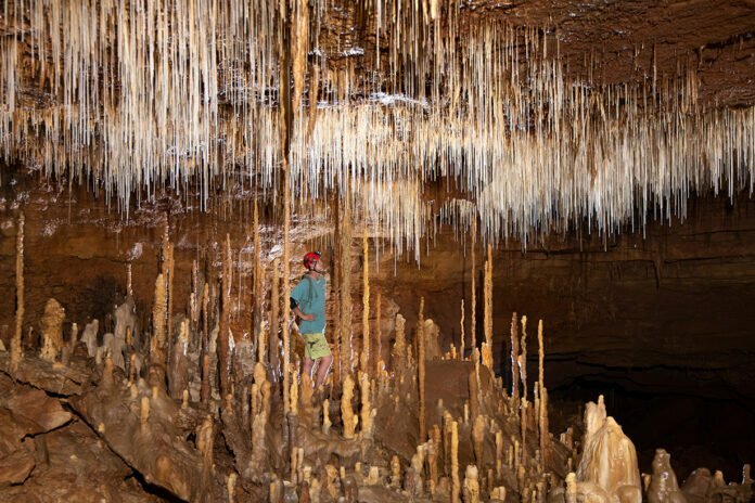 T. Dexter Soechting in a highly decorated room within the Wild Cave.