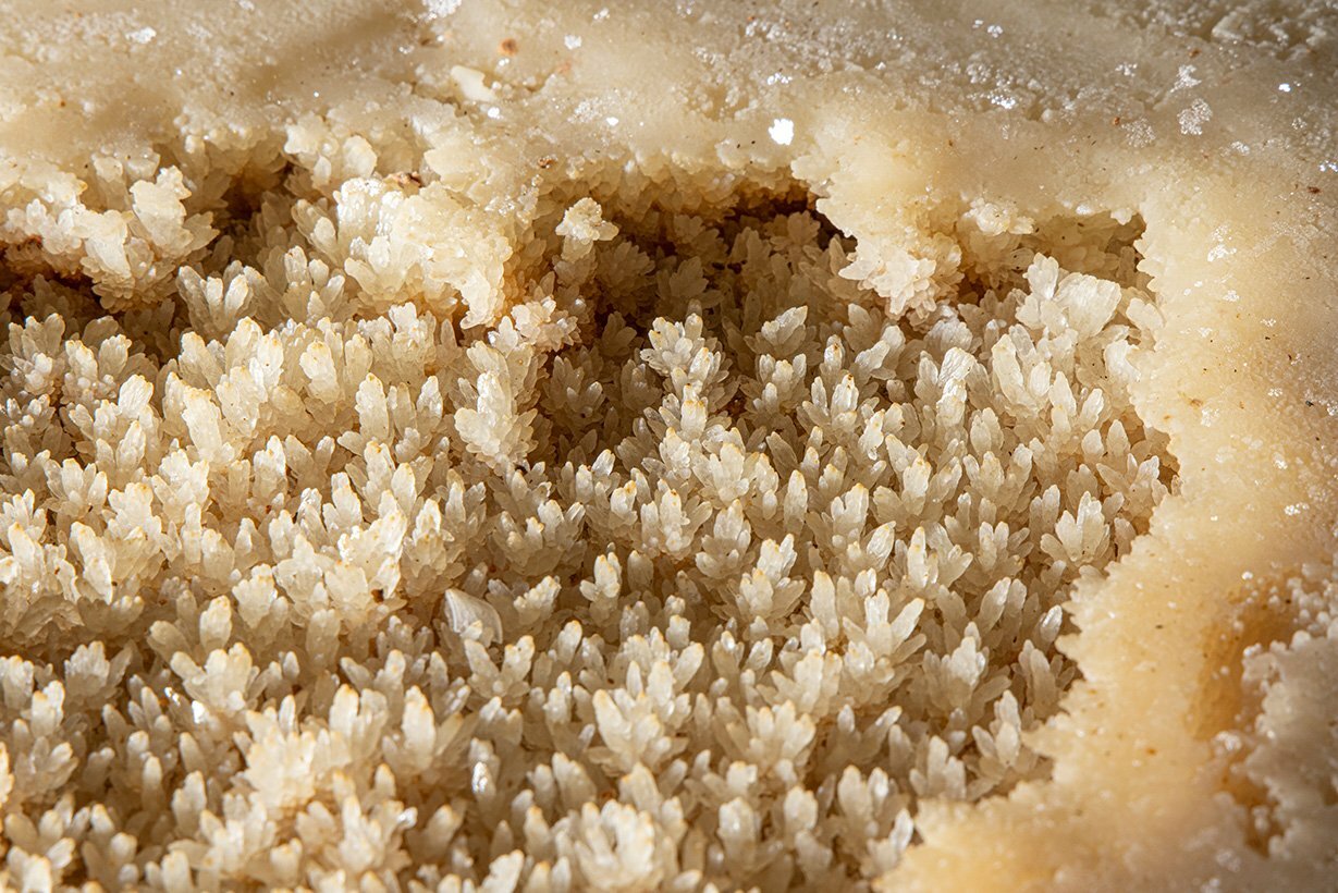 Tiny calcite crystals formed inside a rim stone pool in Wild Cave.