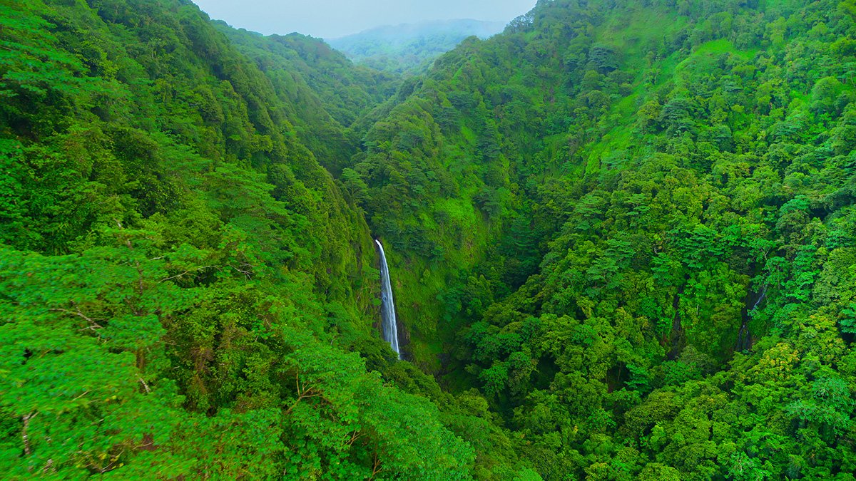 Waterfall on Cocos Island. Thác nước trên đảo Cocos.