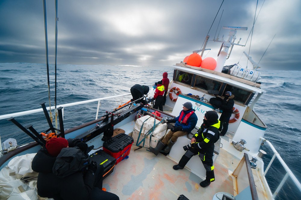 Crew filming on yacht, Australis, in heavy seas off Elephant Island. Toàn thể nhân viên quay phim trên du thuyền, Australis, ở vùng biển lớn ngoài khơi Đảo Voi.