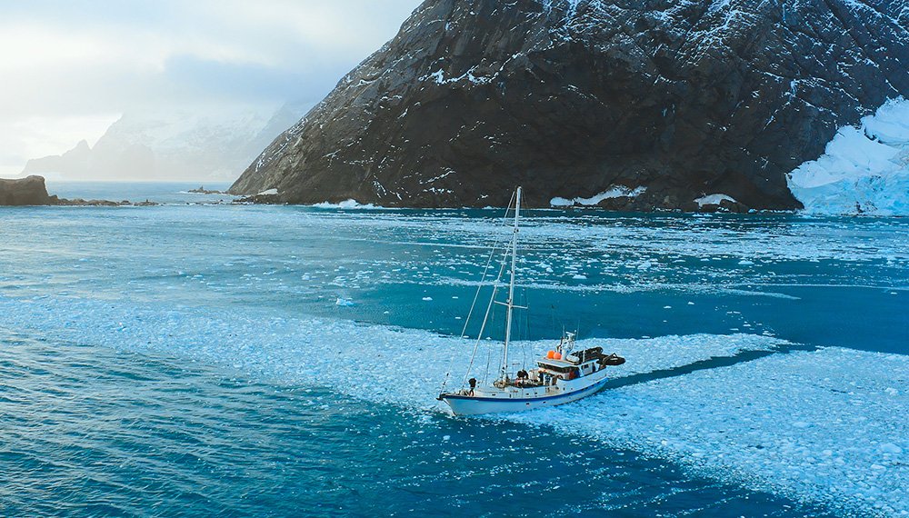 The Australis pushes out to sea to look for whales from an anchorage at Point Wild, Elephant Island. Australis ra khơi tìm kiếm cá voi từ một khu neo đậu ở Point Wild, Đảo Voi