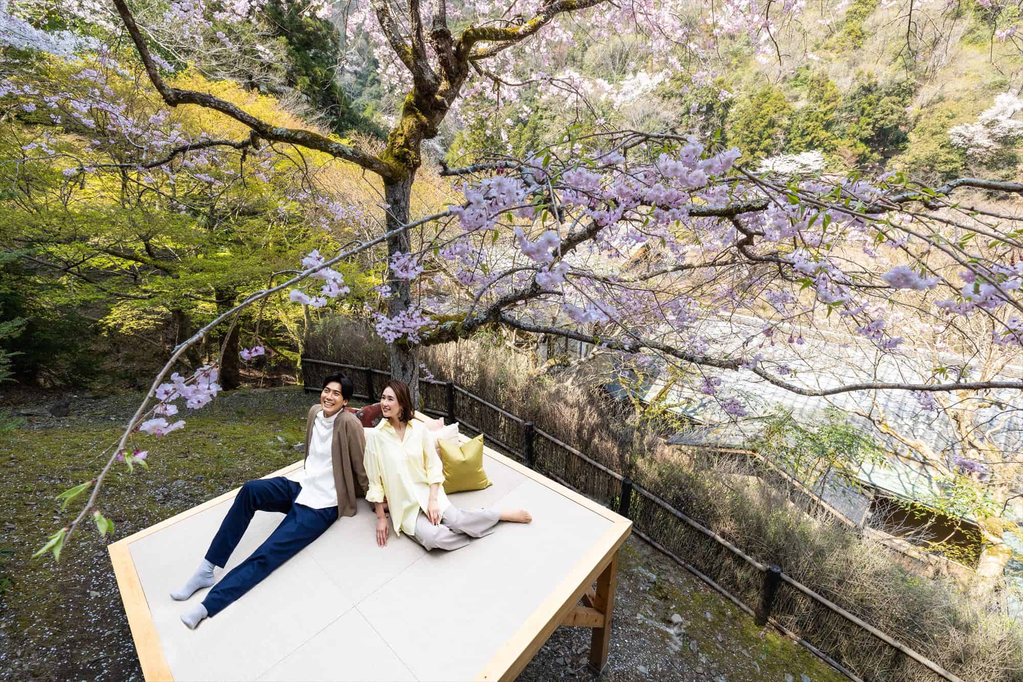 Cherry Blossom viewing at Hoshinoya Kyoto