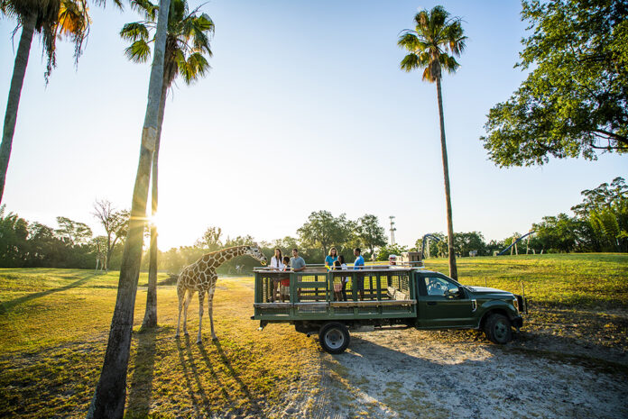 Busch Gardens Tampa Bay Serengeti Safari Tour