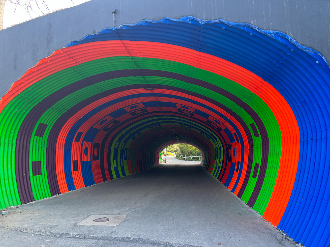 Oso Creek Trail in Mission Viejo, California (Photo by Julie Nguyen)