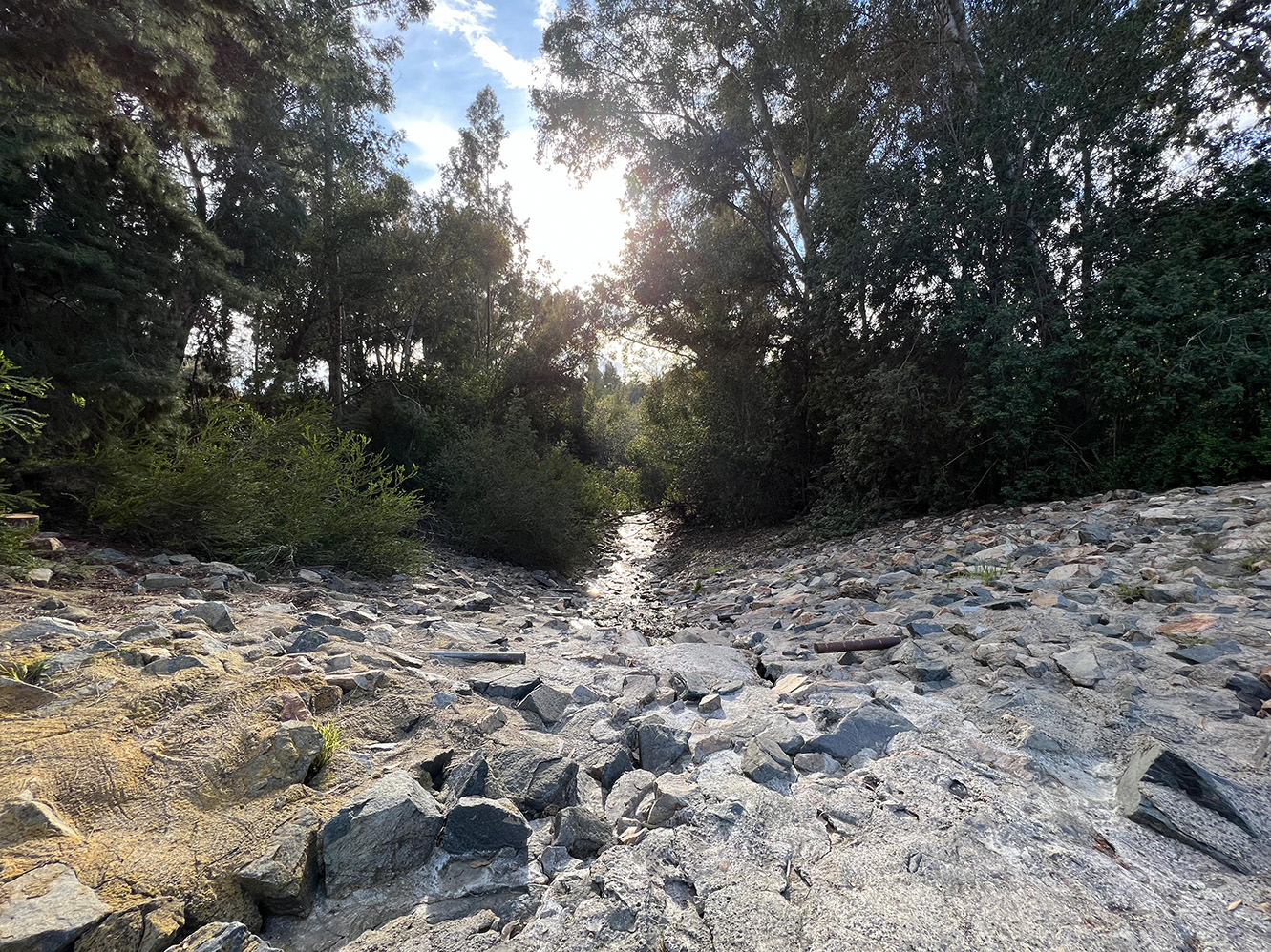 Oso Creek Trail in Mission Viejo, California (Photo by Julie Nguyen)