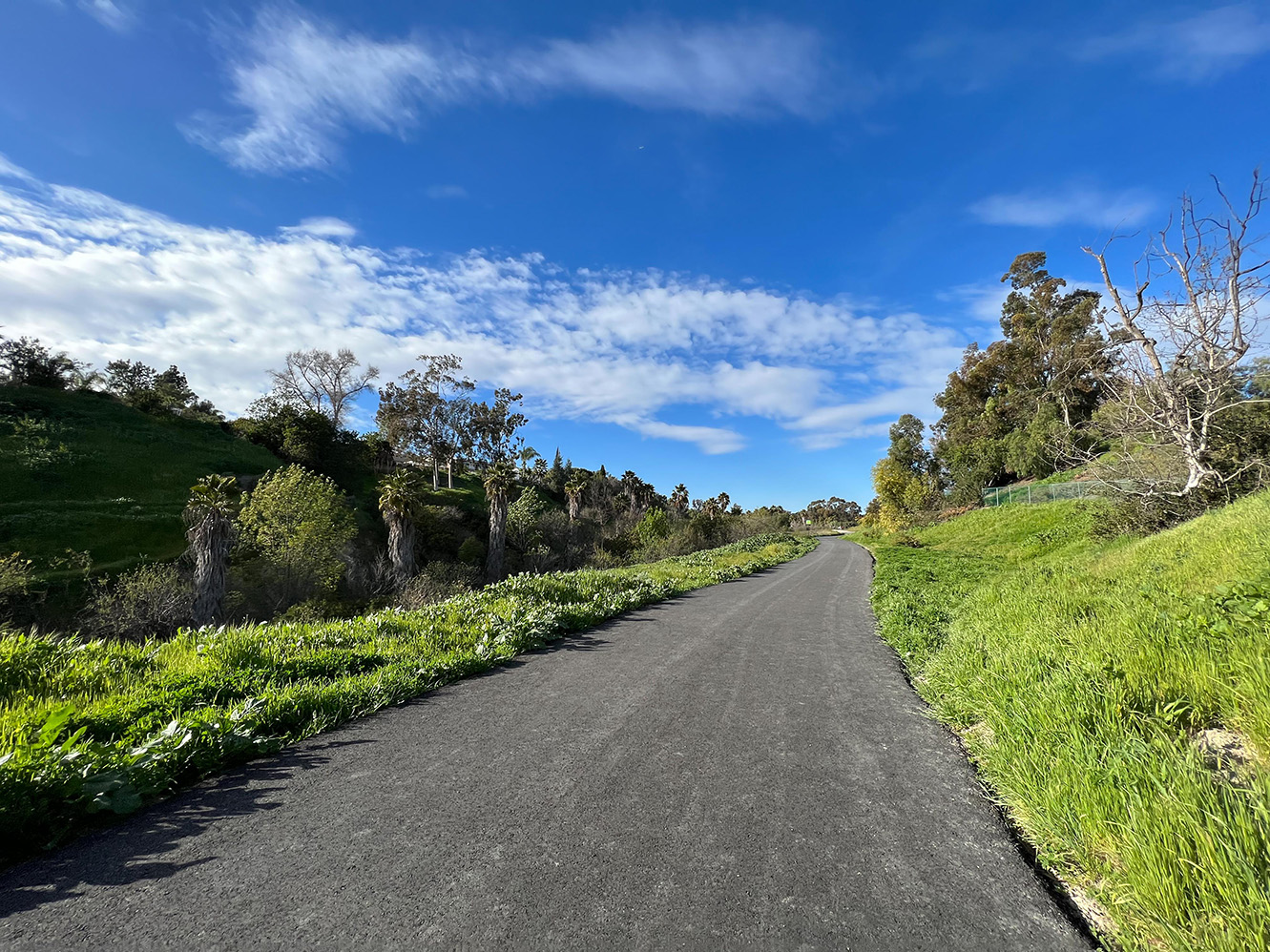 Oso Creek Trail in Mission Viejo, California (Photo by Julie Nguyen)