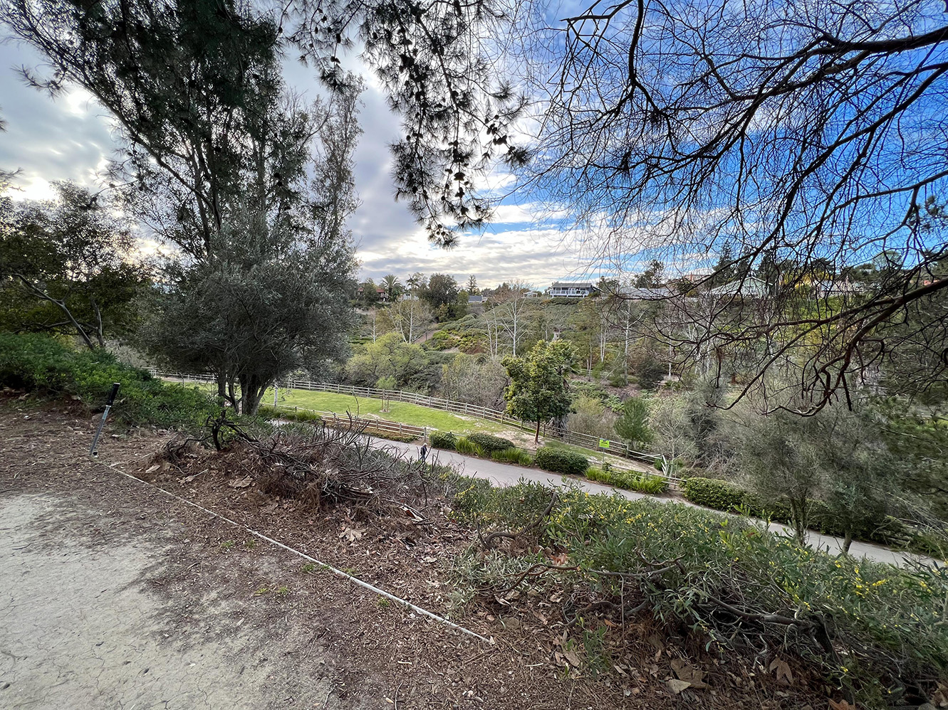 Oso Creek Trail in Mission Viejo, California  (Photo by Julie Nguyen)