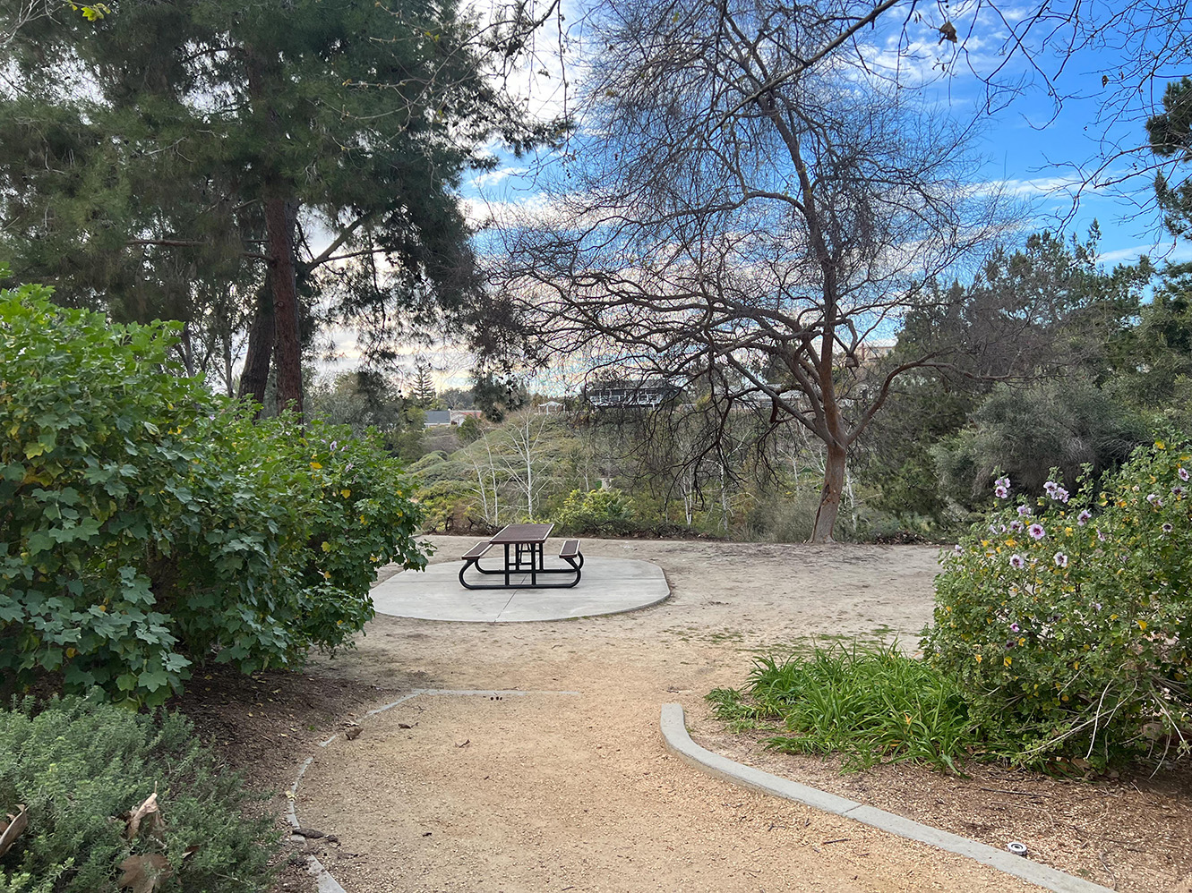 Oso Creek Trail in Mission Viejo, California (Photo by Julie Nguyen)