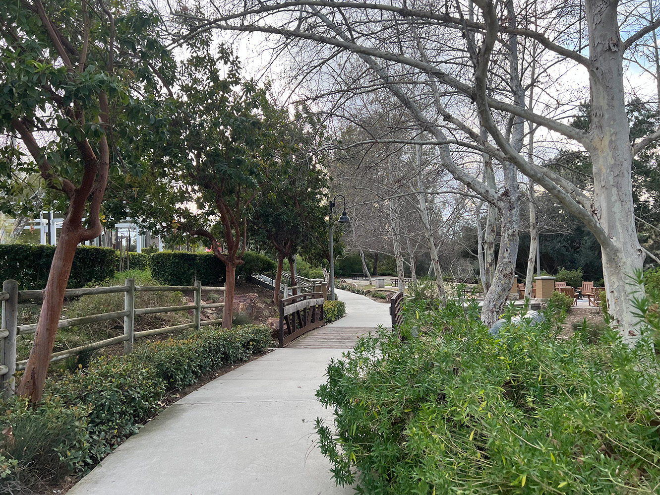 Oso Creek Trail in Mission Viejo, California (Photo by Julie Nguyen)