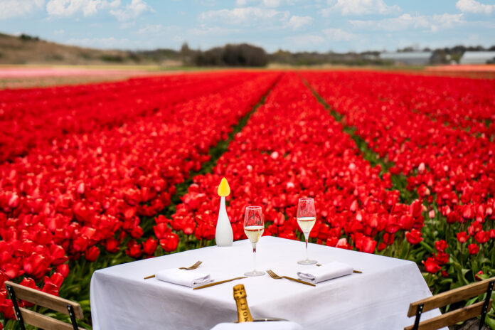 Anantara Grand Hotel Krasnapolsky Amsterdam - Tulip Dining