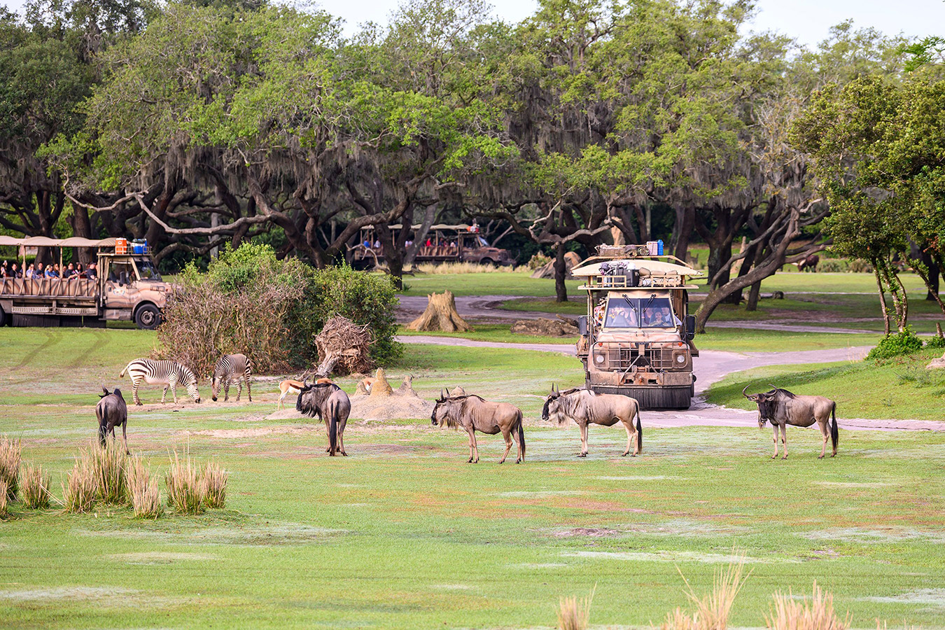 Walt Disney World