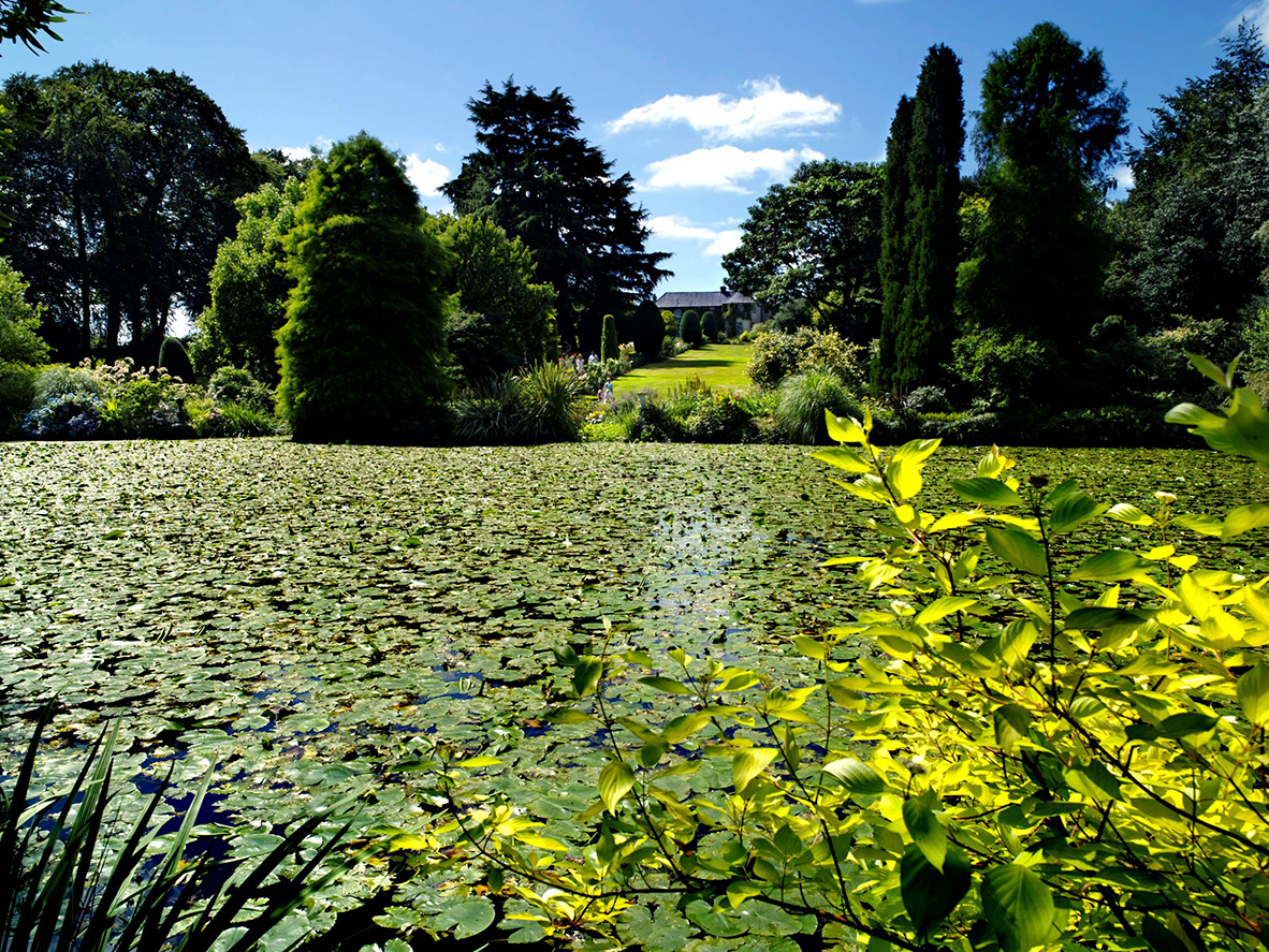 Altamont Gardens Lake