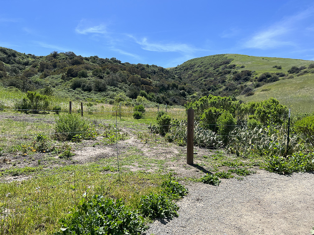 Bommer Canyon in Irvine, California (Photo by Julie Nguyen)