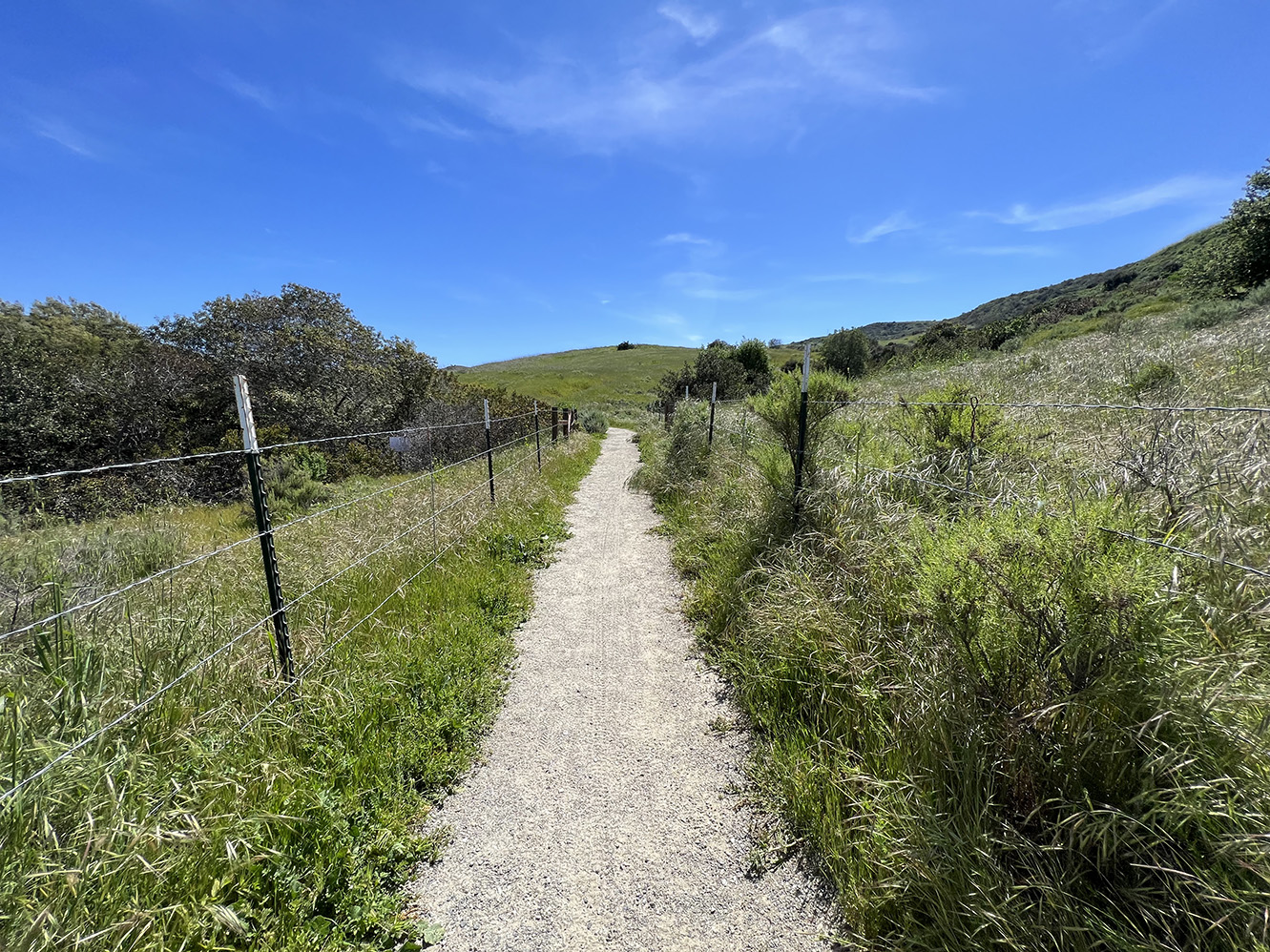 Bommer Canyon in Irvine, California (Photo by Julie Nguyen)