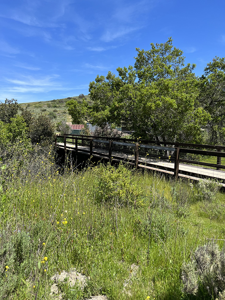 Bommer Canyon in Irvine, California (Photo by Julie Nguyen)