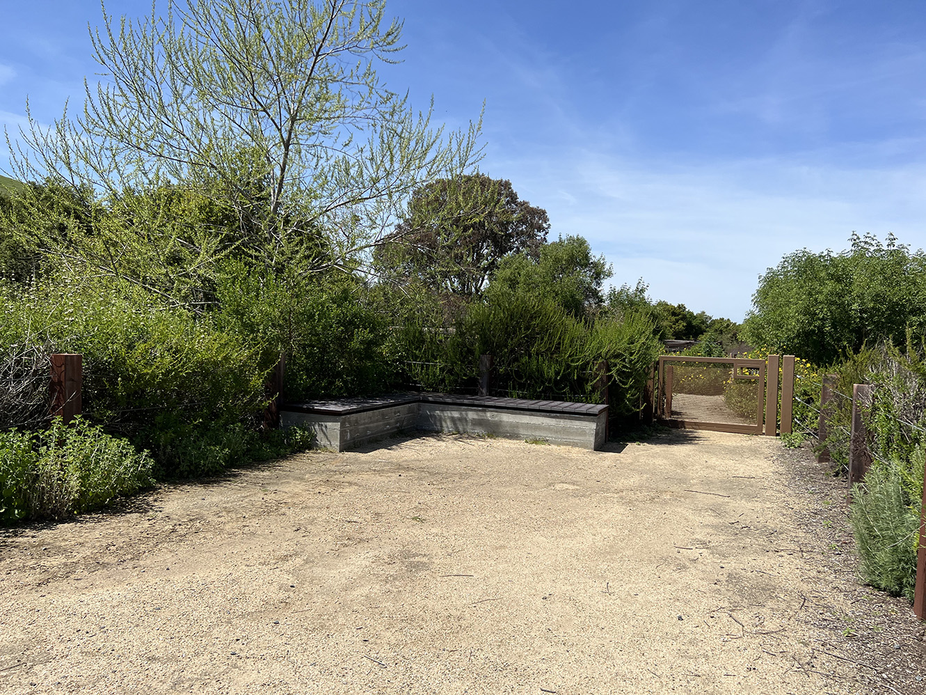 Bommer Canyon in Irvine, California (Photo by Julie Nguyen)